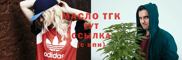 прущие крисы Бородино