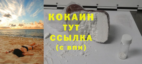 твердый Бронницы