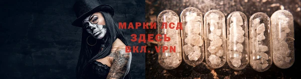 прущие крисы Бородино