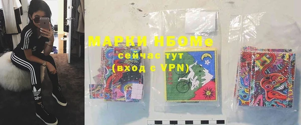 прущие крисы Бородино